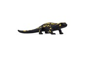 Schleich - Schleich Ild salamander - 14870