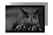 Skærm - Natec OWL display privacy filter - 27" - NFP-2118