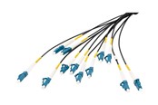 Netværkskabel - DIGITUS breakout cable - 75 m - black - Sort - 75m - DK-2A33CU075BK-BBB