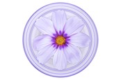 Mobil - Andet Tilbehør - PopSockets PopGrip Plant Purple Cosmo - 806846