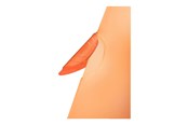 Arkivering & Opbevaring - Leitz Universalmappe ColorClip RainbowA4 Orange - 41760045