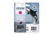 Blæk, Toner & Forbrugsstoffer - Epson T7603 - vivid magenta - original - ink cartridge - C13T76034N10