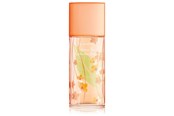 Parfume og dufte - Elizabeth Arden Green Tea Nectarine EDT 100 ml - 0085805544829