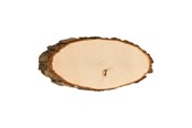 Kreativt Legetøj - Playwood Make your own Nameplate Tree Bark 28 cm - SL30-33