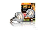 Varmelamper & -pærer - EXO TERRA Sun Glo intense basking spot 150 w m/UVA - HPT2140