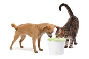 Katte - Catit Design Hvid/Lime Drikkefontæne 3 ltr - H55600