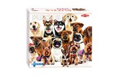 Puslespil - Tactic  Group of Cute Dogs 1 pcs puzzle Floor - 59233