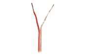 Audio kabel - Nedis bulk speaker cable - 100 m - CABR1500TR1000