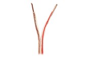 Audio kabel - Nedis bulk speaker cable - 25 m - CABR4000TR250