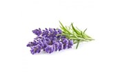 Smart Home - Click & Grow Click and Grow - Smart Garden Refill 3-pack - Lavender (SGR30X3) - SGR30X3