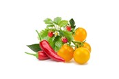 Smart Home - Click & Grow Click and Grow - Smart Garden Refill 9-pack Fruit and Veggie Mix - PPMFVX9