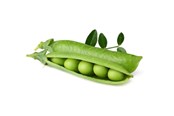 Smart Home - Click & Grow - Smart Garden Refill 3-pack Dwarf Pea - SGR54X3