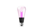 Smart Home - Philips Hue Lightguide E27 Edison Pære - 1-Pak *DEMO* - 929003151501