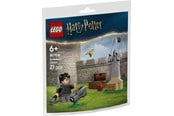 LEGO®  - LEGO Harry Potter 30706 Quidditch™-lektion - 30706
