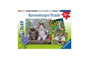 Puslespil - Ravensburger Jigsaw puzzle Young Kittens 3x49pcs. Floor - 080465
