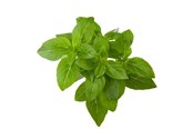 Smart Home - Click & Grow Click and Grow Smart Garden Refill 3-pack - Dwarf Basil - SGR21X3