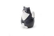Boligindretning - Kikkerland - Solar Cat - 1621