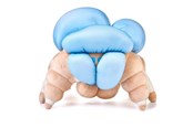 Merchandise - Numskull - Destiny: Screeb Hatchling - Bamse - NS4269