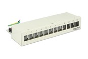 Netværkstilbehør - DeLOCK Keystone Desktop Patch Panel - 12 Ports - 43335