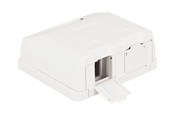 Netværkstilbehør - DeLOCK Keystone Surface Mounted Box - 86236