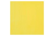Kreativt Legetøj - Bruynzeel Ecola Poster Paint Bottle 16ml Lemon Yellow (Primary) 205 - 09162050