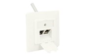 Netværkstilbehør - DeLOCK Keystone Wall Outlet - 2 Port Compact - 86219