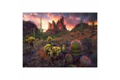 Puslespil - Ravensburger Jigsaw puzzle Cactus 500 pcs. Floor - 12001380