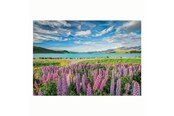 Puslespil - Clementoni Jigsaw Puzzle Flowers at Lake Tekapo 1500pcs. Floor - 31728