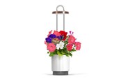 Haveredskaber - Click & Grow HydroVase Grow Fresh Plants Indoors All Year Round with LED Lighting and Self-Watering System - White - CGHVWEU