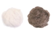 Katte - Jolly Paw Plys Legetøjsbolde med Klokke & Katteurt 3cm (2-Pak) - JP34107