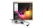 Smart Home - Philips Hue Festavia Globe udendørs lyskæde, 14 m - 929004581901