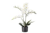 Boligindretning - Bloomingville Orchid - 82061501