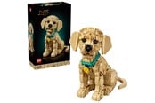 LEGO® - LEGO Icons 11384 Golden retriever-hvalp - 11384