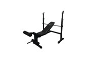 Sport & Fitness - TITAN LIFE Bench Essential Bench II - 400-800162