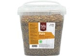 Fuglefoder, snacks & vitaminer - Hobby First - Pure Mealworms - 850g - 5400515011532