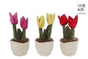 Små gaver til børn - Pocket Money Plants Plush tulip 25cm - assorted - 660627