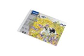 Hobby artikler - SPREE Tegneblok 350g. 10 ark. A5 210*150mm. - 41915