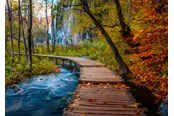 Puslespil - Ravensburger Autumnal wood trail (1000) - 12001764