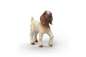 Schleich - Schleich Boer-gedekid - 14930