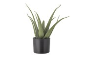 Boligindretning - Bloomingville Aloe - 82061499