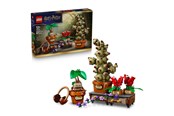 LEGO® - LEGO Harry Potter 76474 Hogwarts™ Botanik-planter - 76474
