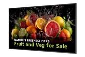 Digital skiltning & Hotel - Philips 55BDL5050D 5000 Series - 55" Class (54.6" viewable) LED-backlit LCD display - 4K - for digital signage - 55BDL5050D/00
