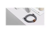 USB kabel - Native Union BELT Cable XL - USB-C cable - 24 pin USB-C to USB Type A - 1.22 m - BELT-AC-ZEB-NP