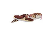 Plys - Wild Republic Plush Toy Snakes 137 cm Blunt Headed Imantodes Cenchoa - 28409