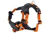 Hunde - Dogman Emmi - 213705