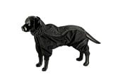 Hunde - Dogman Dot - 757031