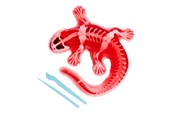 Udendørsleg - Simba Scout Dissect-It Salamander - 109452704