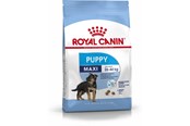 Hunde - Royal Canin SHN Maxi Puppy - dry puppy food - 4kg - 3182550402149