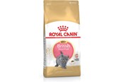 Katte - Royal Canin British Shorthair Kitten cats - Poultry, Rice, Vegetable - dry food - 2 kg - 3182550816533