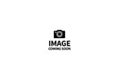 Figur - FurReal Gabby The Grow & Roar Tiger - 28204